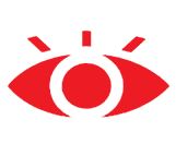 Vision